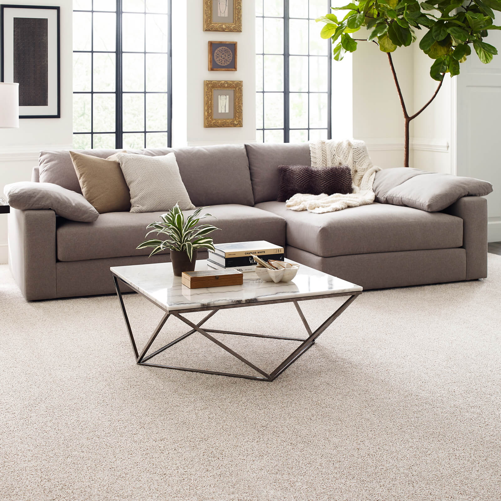 Living room flooring | Webb Carpet Company